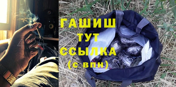 стаф Аркадак