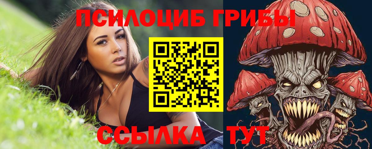 Галлюциногенные грибы Magic Shrooms Кондопога