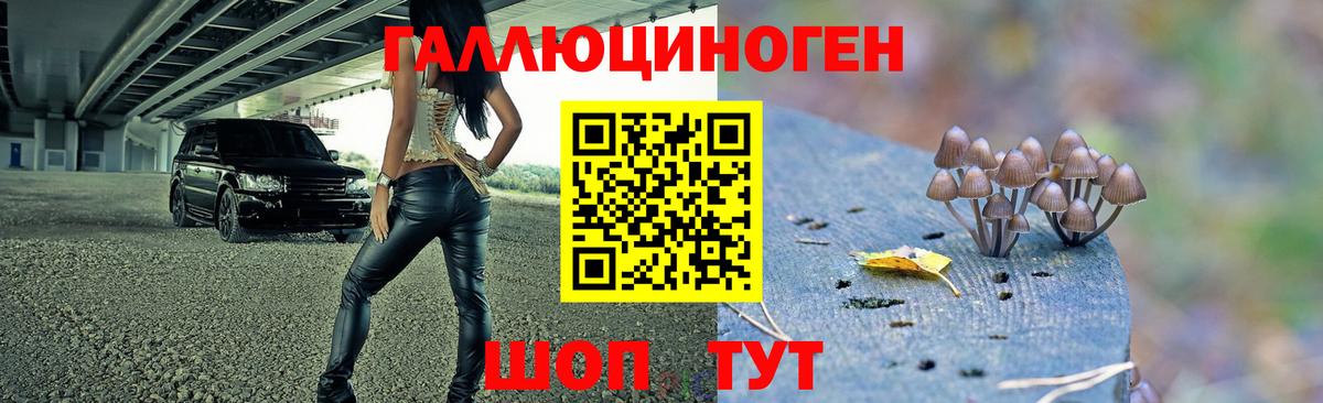 Псилоцибиновые грибы Psilocybine cubensis  Вход с VPN  Кондопога  Галлюциногенные грибы мухоморы 